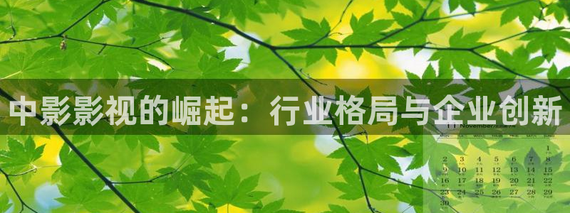 秋霞理论大片