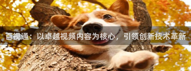 秋霞2018秋霞网