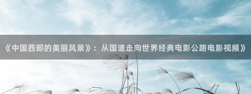 秋霞理论电影网站