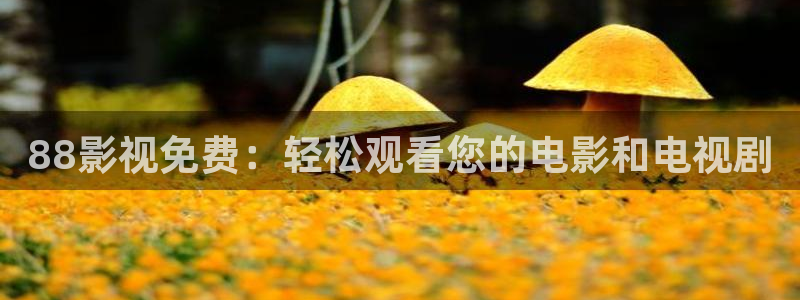 秋霞电影a：88影视免费：轻松观看您的电影和电视剧