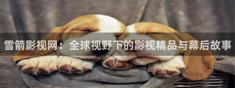 秋霞影视免费：雪箭影视网：全球视野下的影视精品与幕后故事