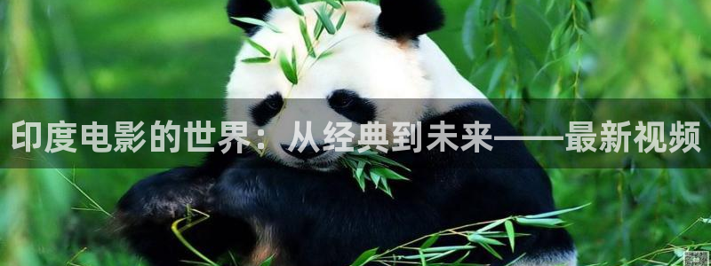 秋霞电影播放：印度电影的世界：从经典到未来——最新视频