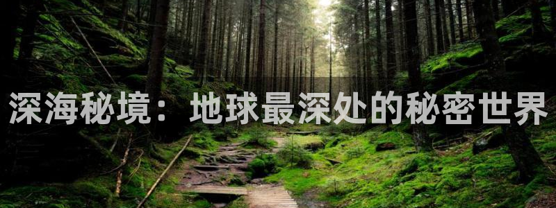 秋霞观看视频：深海秘境：地球最深处的秘密世界