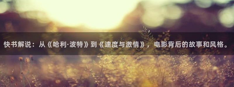 秋霞网韩国理伦片免费看：快书解说：从《哈利·波特》到《速度与激情》，电影背后的故事和风格。