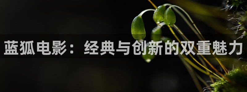秋霞eeuss影院：蓝狐电影：经典与创新的双重魅力