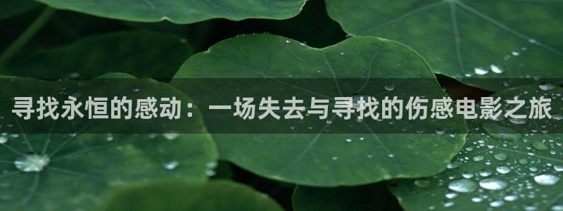秋霞午夜在线影院：寻找永恒的感动：一场失去与寻找的伤感电影之旅