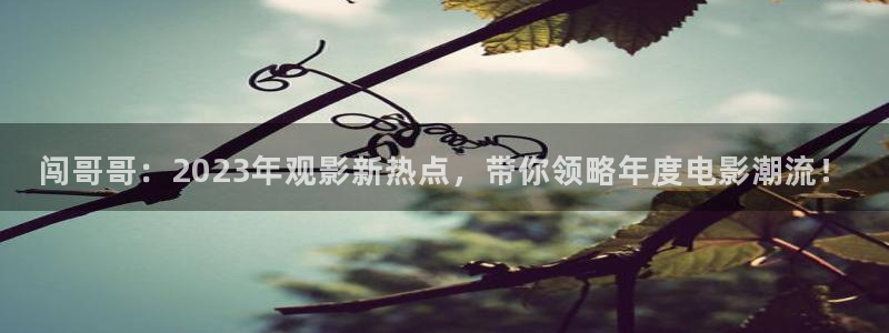 秋霞午夜影视：闯哥哥：2023年观影新热点，带你领略年度电影潮流！
