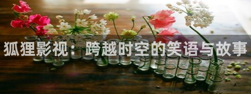 秋霞电影网鲁丝片：狐狸影视：跨越时空的笑语与故事