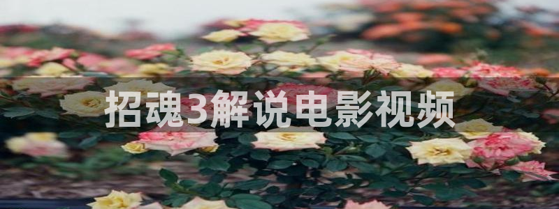秋霞电影理论片在线观看