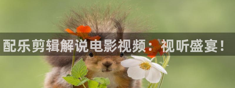 秋霞电影网免费观看：配乐剪辑解说电影视频：视听盛宴！