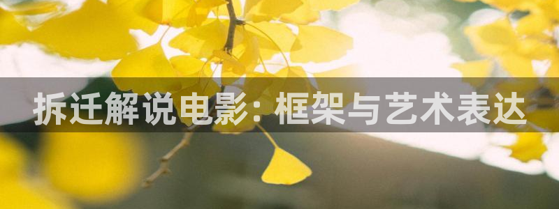 秋霞啊：拆迁解说电影: 框架与艺术表达