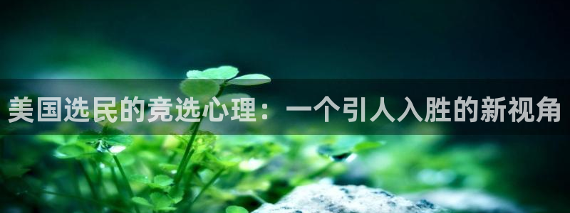 2019秋霞电影