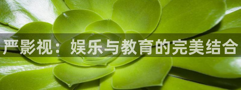 秋霞网伦理在线：严影视：娱乐与教育的完美结合