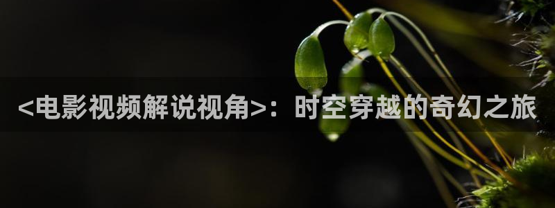 秋霞电影精品：<电影视频解说视角>：时空穿越的奇幻之旅