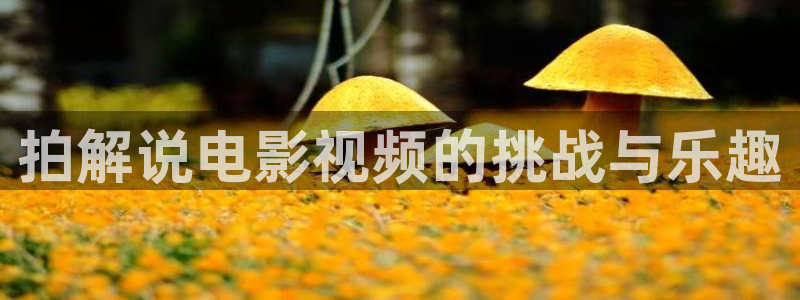 秋霞电影男人：拍解说电影视频的挑战与乐趣