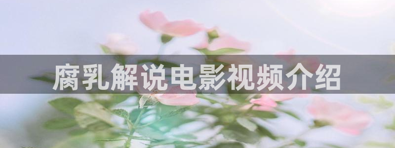 秋霞在线26：腐乳解说电影视频介绍