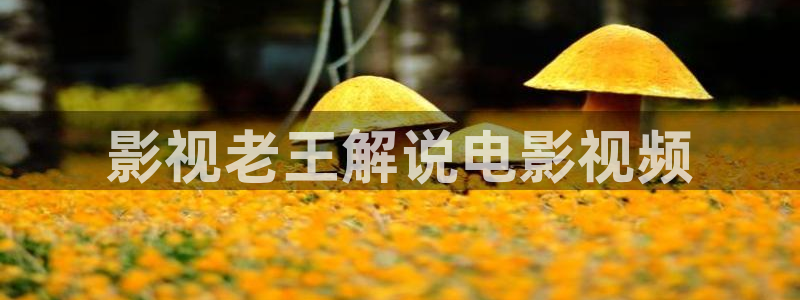 秋霞午夜在线播放：影视老王解说电影视频