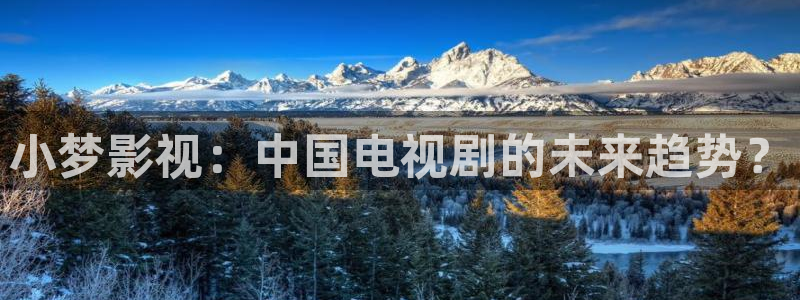 秋霞影院电影激情：小梦影视：中国电视剧的未来趋势？