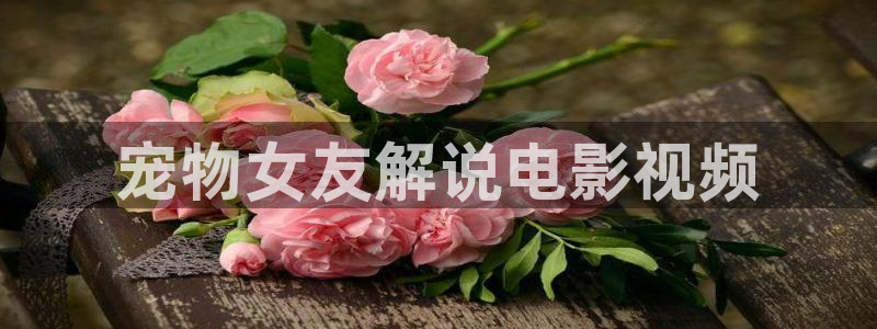 影音秋霞在线：宠物女友解说电影视频