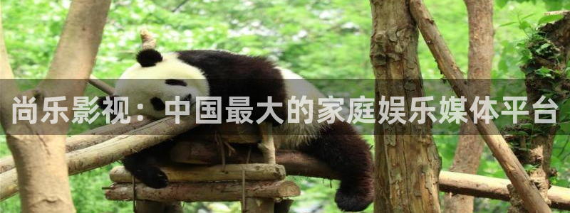 秋霞网理论电影：尚乐影视：中国最大的家庭娱乐媒体平台