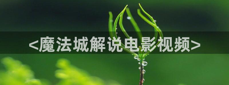 秋霞免费理论电影网：<魔法城解说电影视频>