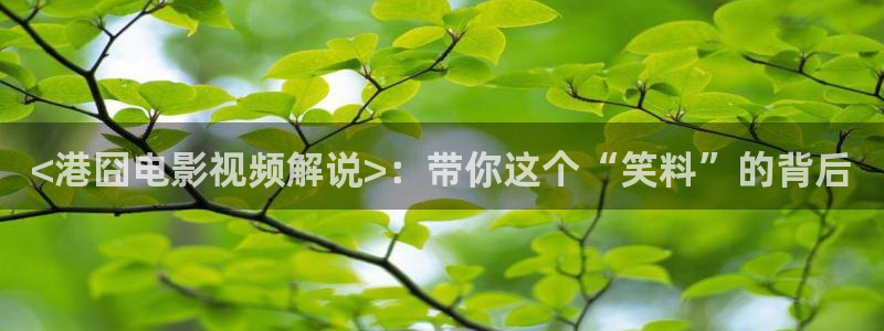 秋霞电影男人：<港囧电影视频解说>：带你这个“笑料”的背后