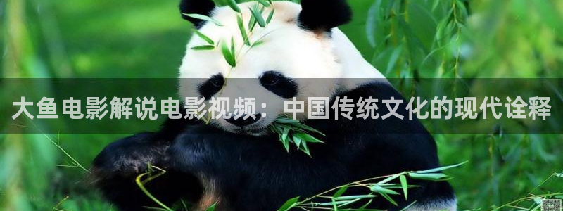 秋霞在线成人免费观看网站：大鱼电影解说电影视频：中国传统文化的现代诠释