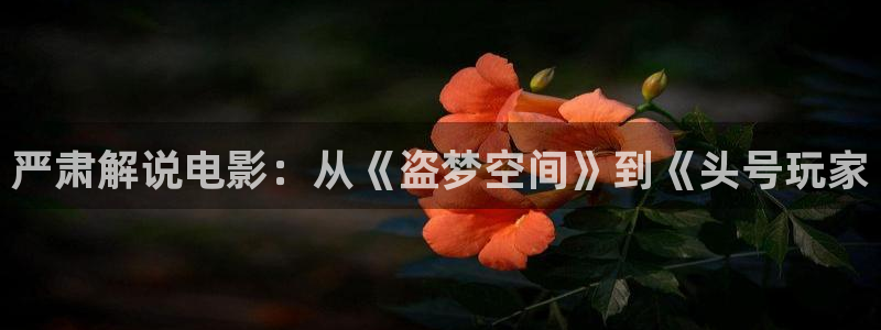 秋霞电视电影网：严肃解说电影：从《盗梦空间》到《头号玩家
