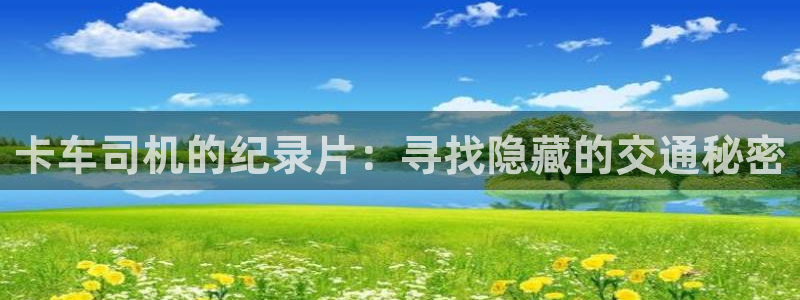 秋霞网伦在线：卡车司机的纪录片：寻找隐藏的交通秘密