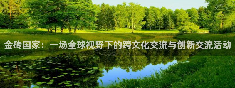 秋霞网国产精品：金砖国家：一场全球视野下的跨文化交流与创新交流活动