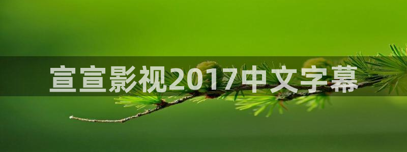 秋霞在线高清观看：宣宣影视2017中文字幕