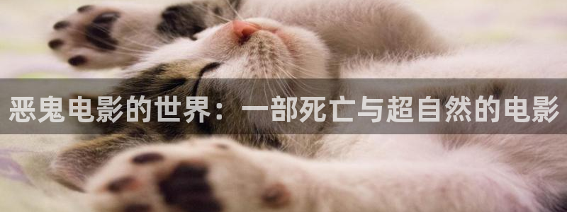 秋霞网91：恶鬼电影的世界：一部死亡与超自然的电影