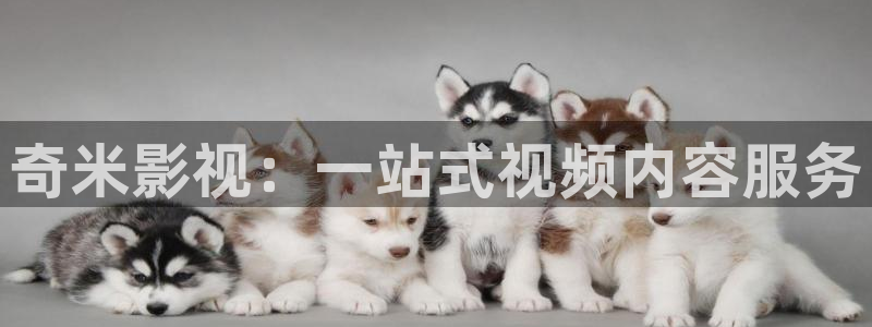 影视先锋秋霞网：奇米影视：一站式视频内容服务