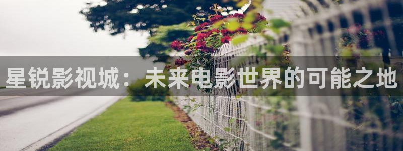 秋霞免费看视频：星锐影视城：未来电影世界的可能之地