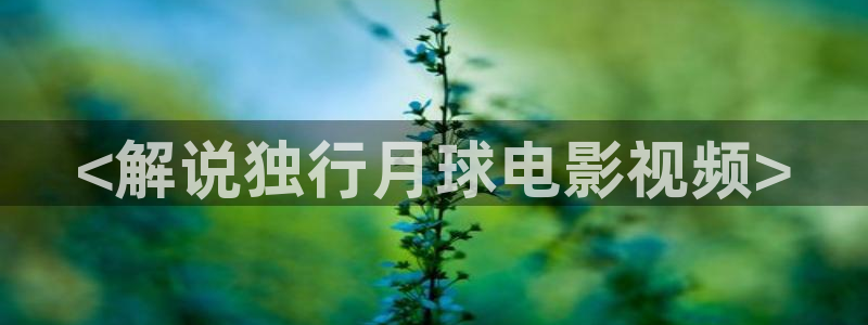 午夜影院神马秋霞电影：<解说独行月球电影视频>