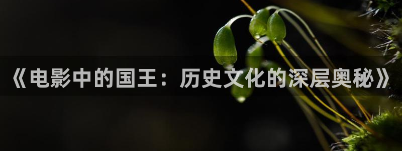秋霞影视伦理2021入口：《电影中的国王：历史文化的深层奥秘》
