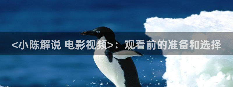 秋霞网午夜伦理片