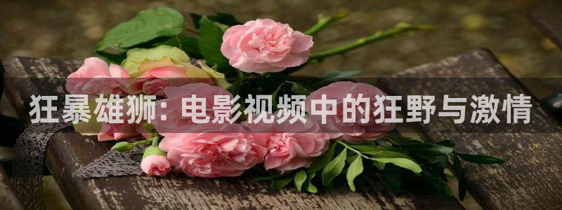 日韩电影秋霞