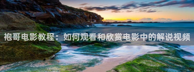 秋霞日本电影网