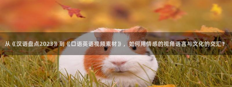 秋霞电影网在线免费观看