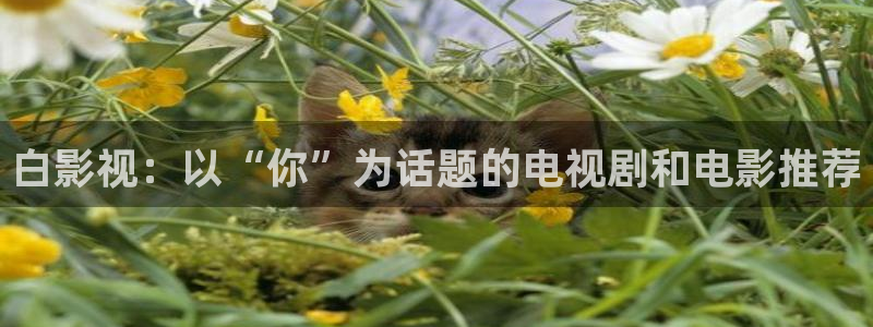 电影秋霞