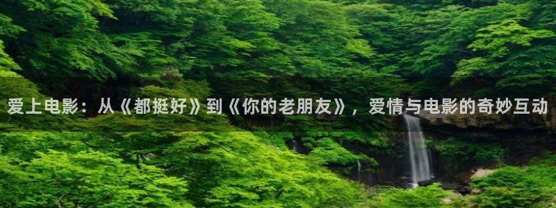 秋霞鲁丝视频在线观看