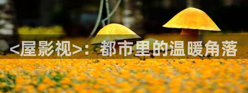 秋霞电影网手机版在线观看视频